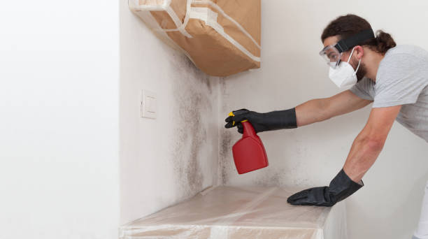 Professional Mold Removal technician working in Bahama, NC